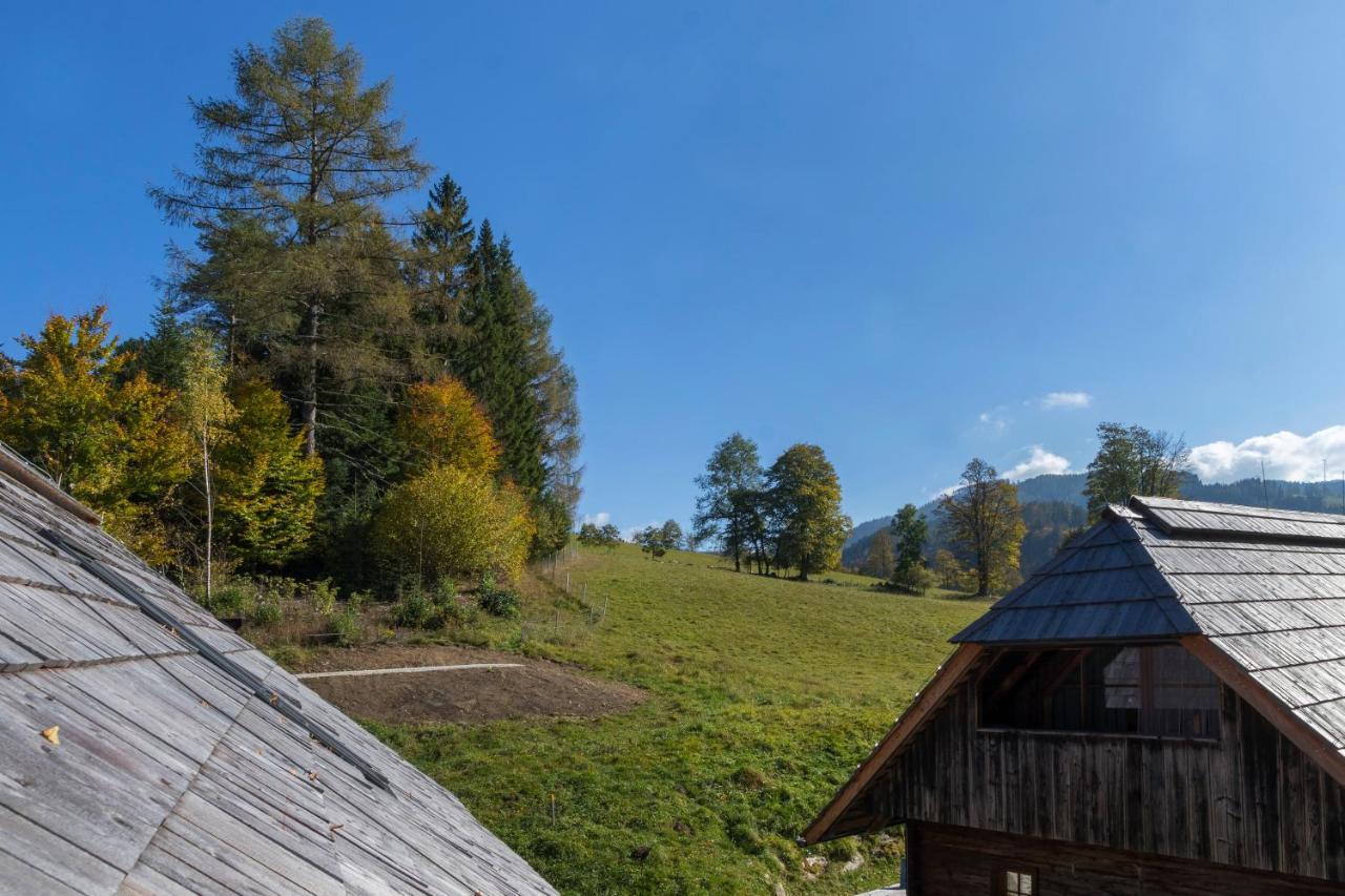Charmante Gaestewohnung In Altem Bauernhaus In Alpiner Alleinlage Stanz Im Murztal Exterior photo